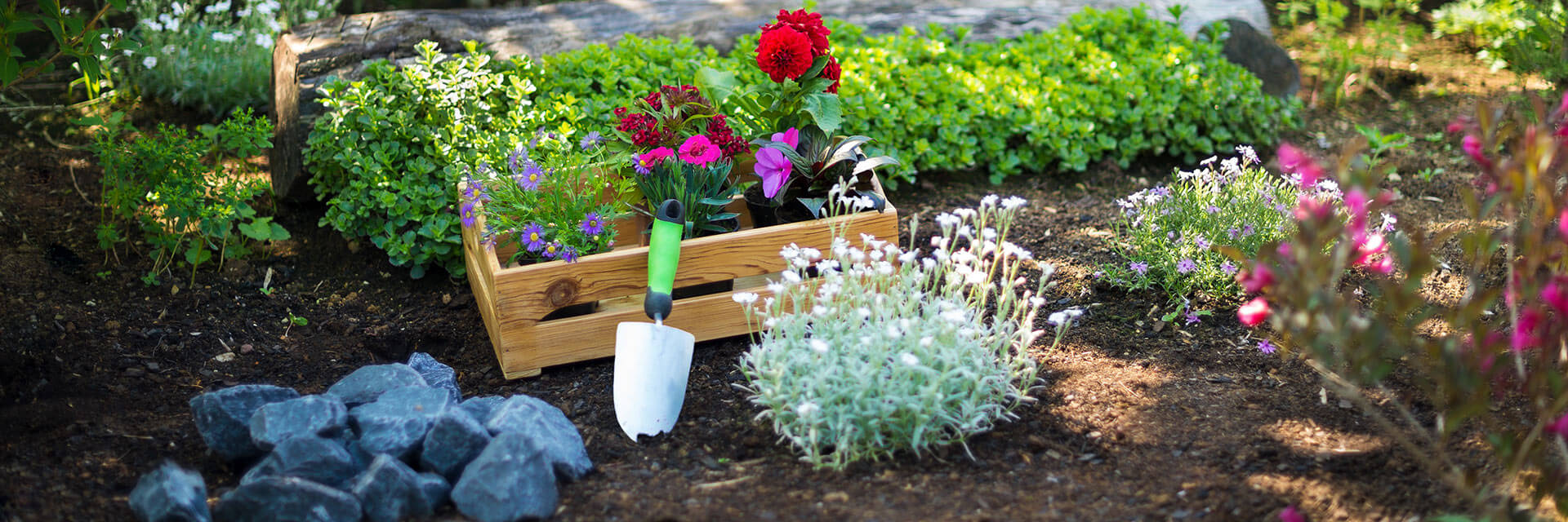 Φysis Garden